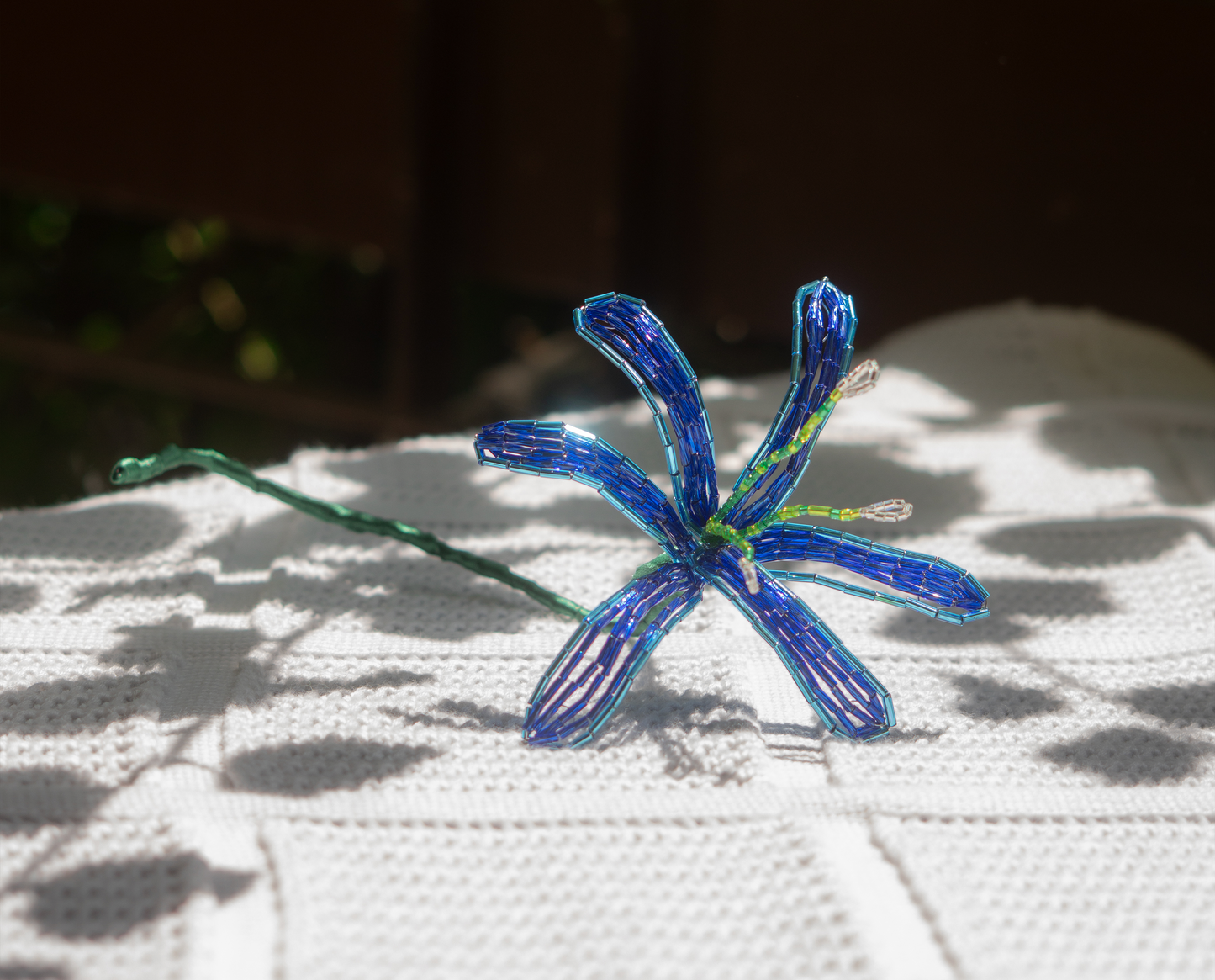 Eternal Flower