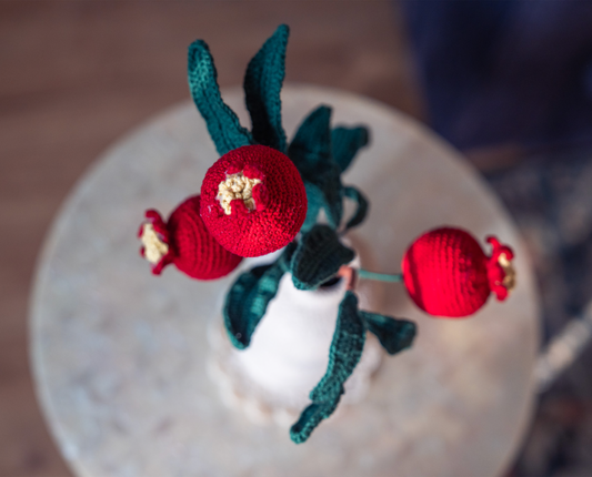 Pomegranate Duo Branch