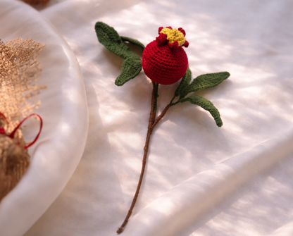 Pomegranate Single Branch