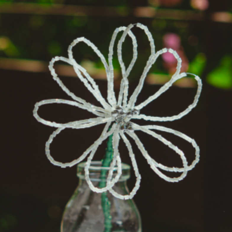 WHITE ETERNAL FLOWER