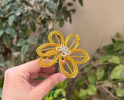 Eternal Flower
